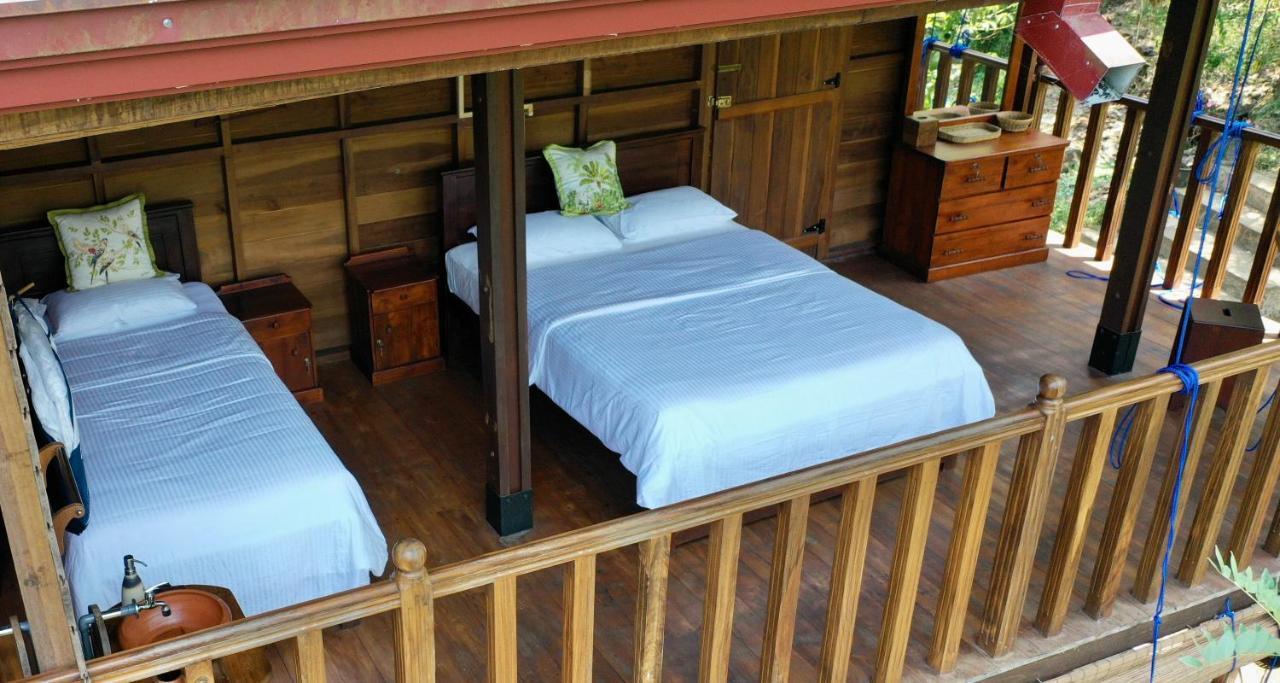 Wanakaset Forest Glamping Китулгала Экстерьер фото
