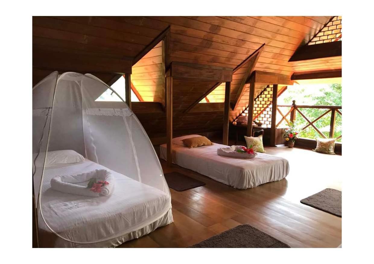 Wanakaset Forest Glamping Китулгала Экстерьер фото