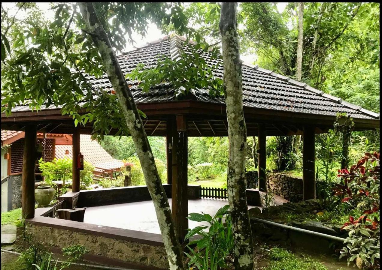 Wanakaset Forest Glamping Китулгала Экстерьер фото