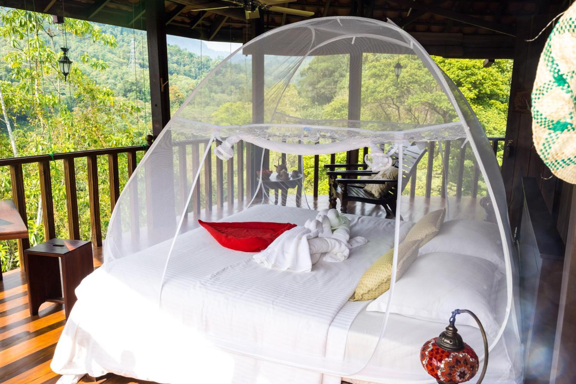Wanakaset Forest Glamping Китулгала Экстерьер фото